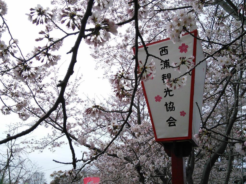 Himeyado Hanakazashi 蒲郡市 外观 照片